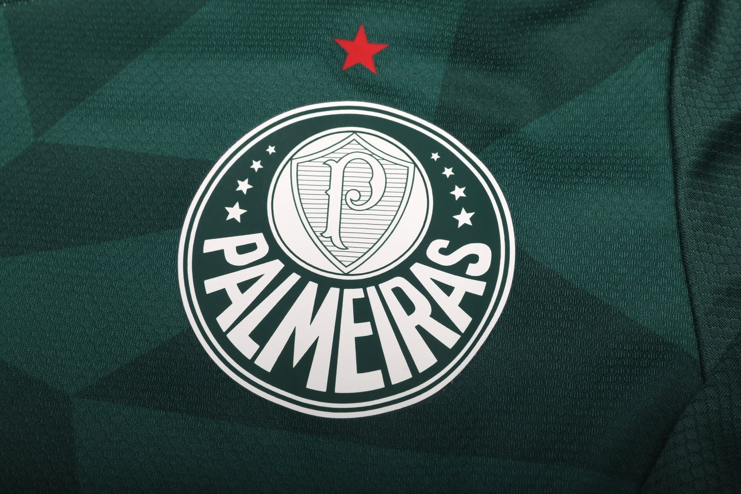 Palmeiras 2023 Home Jersey Endrick #9 L/S Kit - L *BNWT*